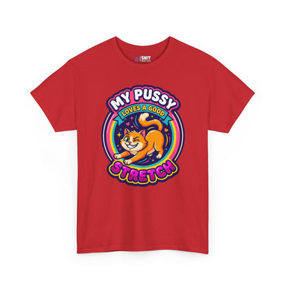 My Pussy Loves a Good Stretch Hen Do T-Shirt