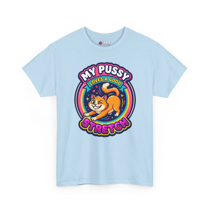 My Pussy Loves a Good Stretch Hen Do Tee - Shit Shirt Club 